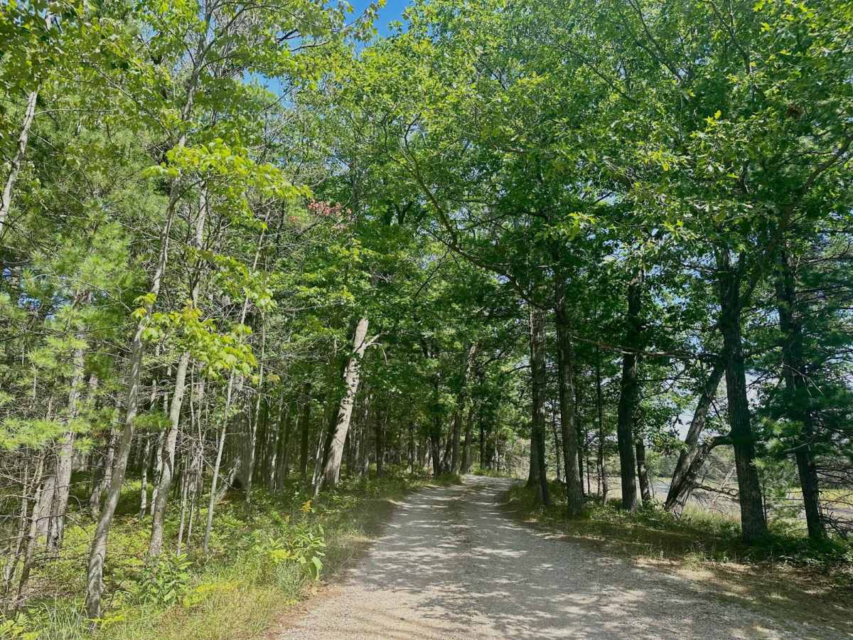 Lasso Road trail photo