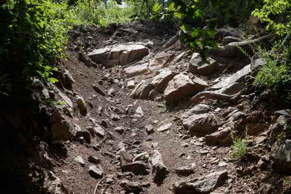 Canfield Mountain- Trail D