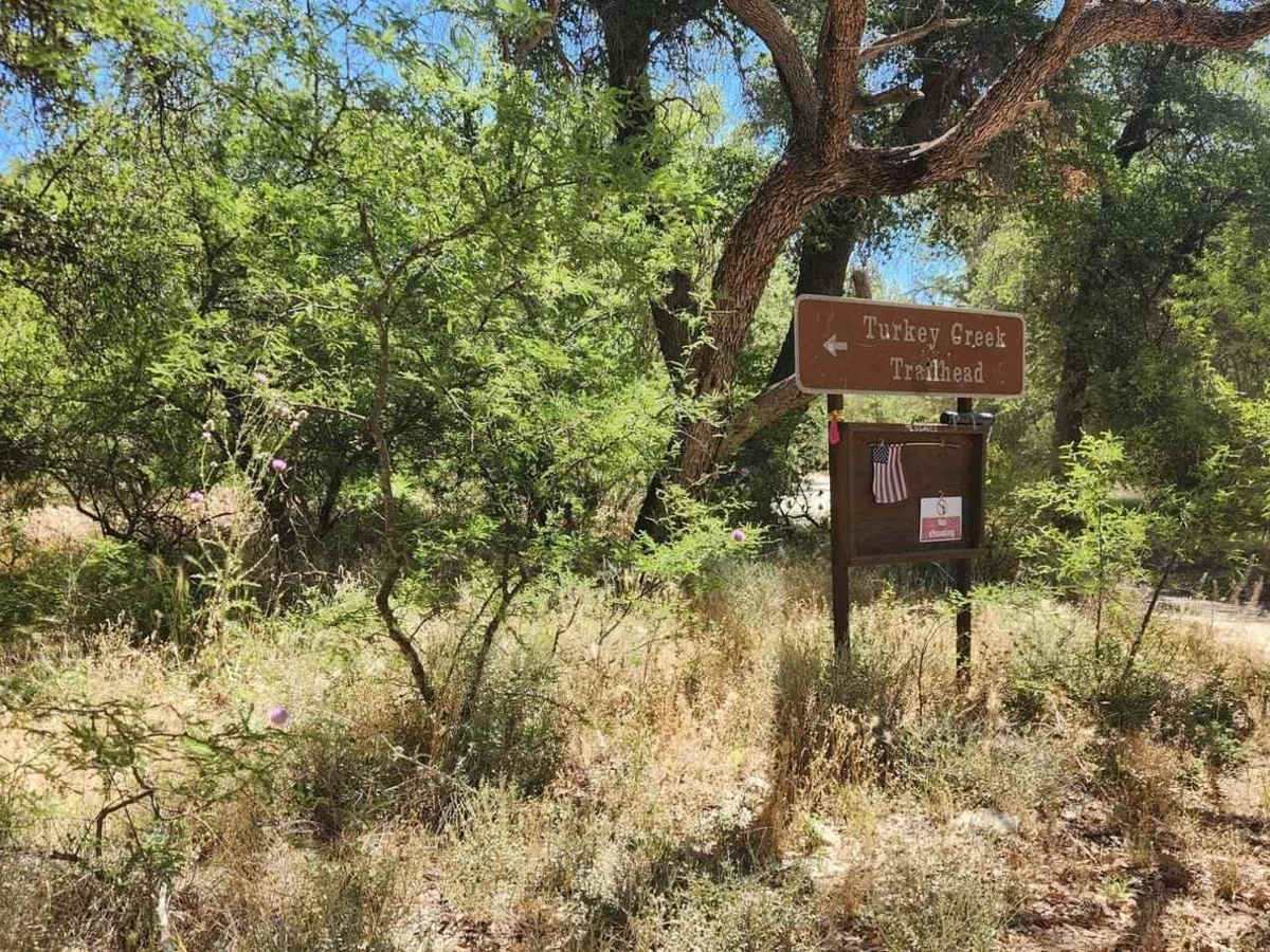 Turkey Creek Springs FR 4408 photo 2