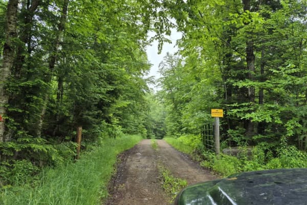 Fly Creek Road