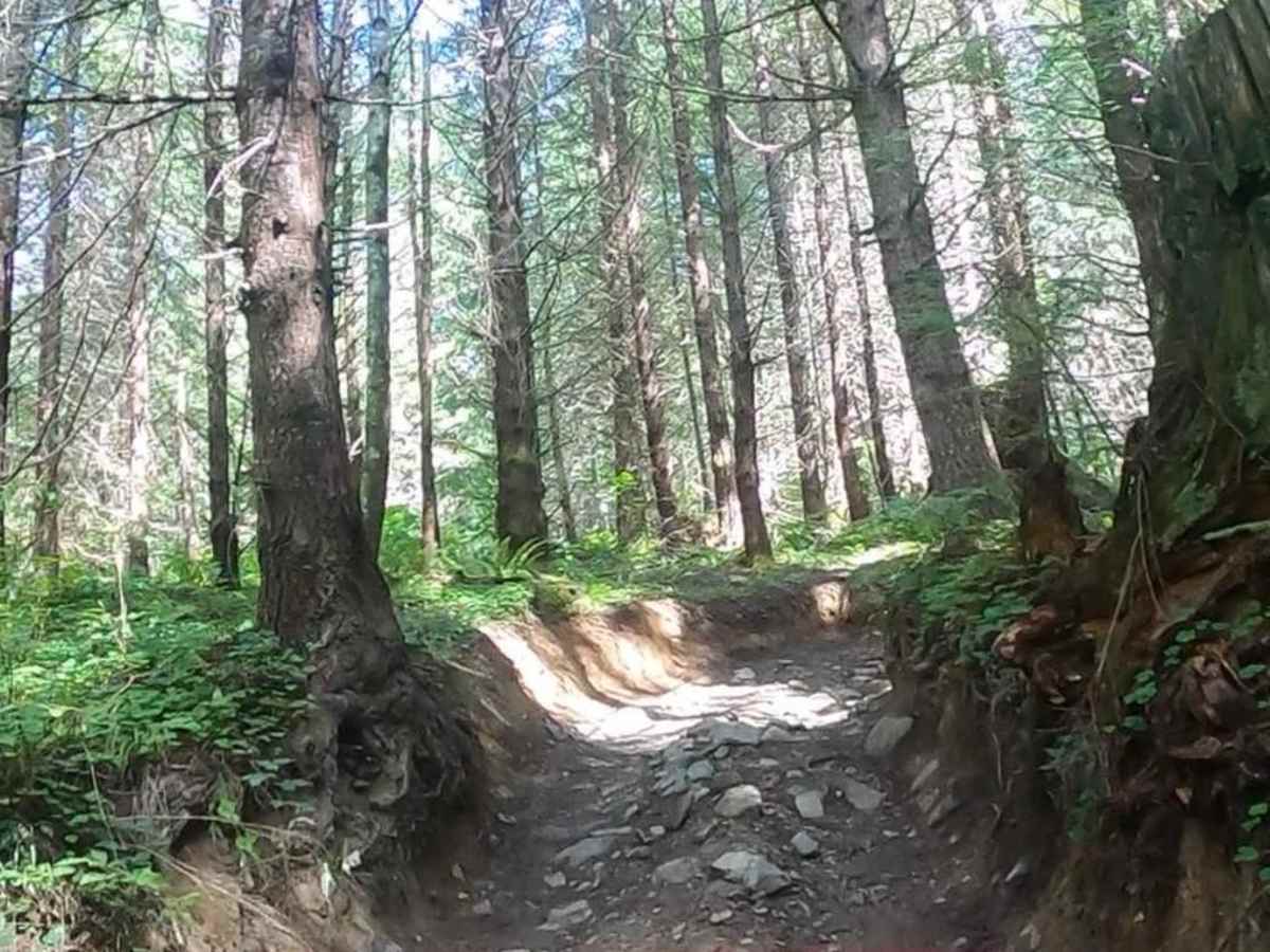 Sunrise Trail photo 5