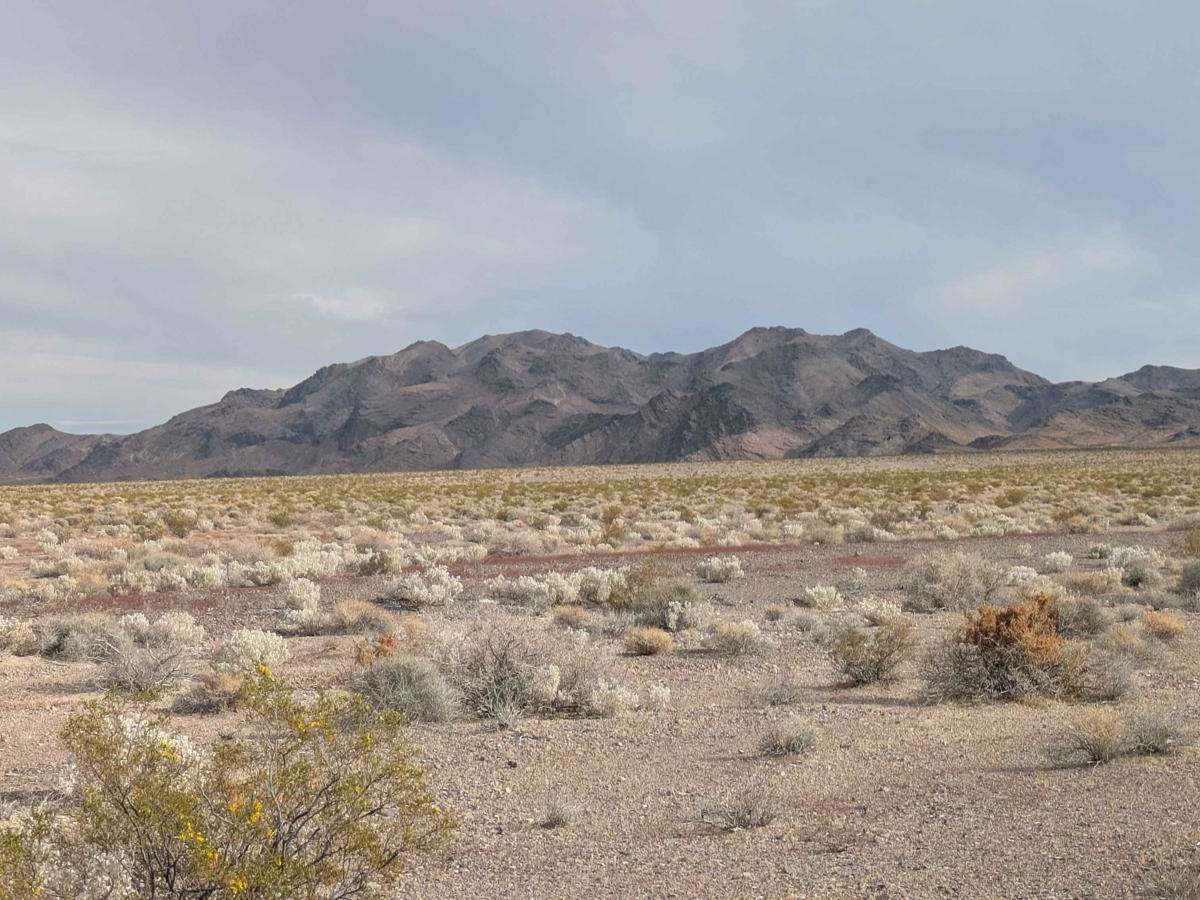 BLM 927827 photo 5