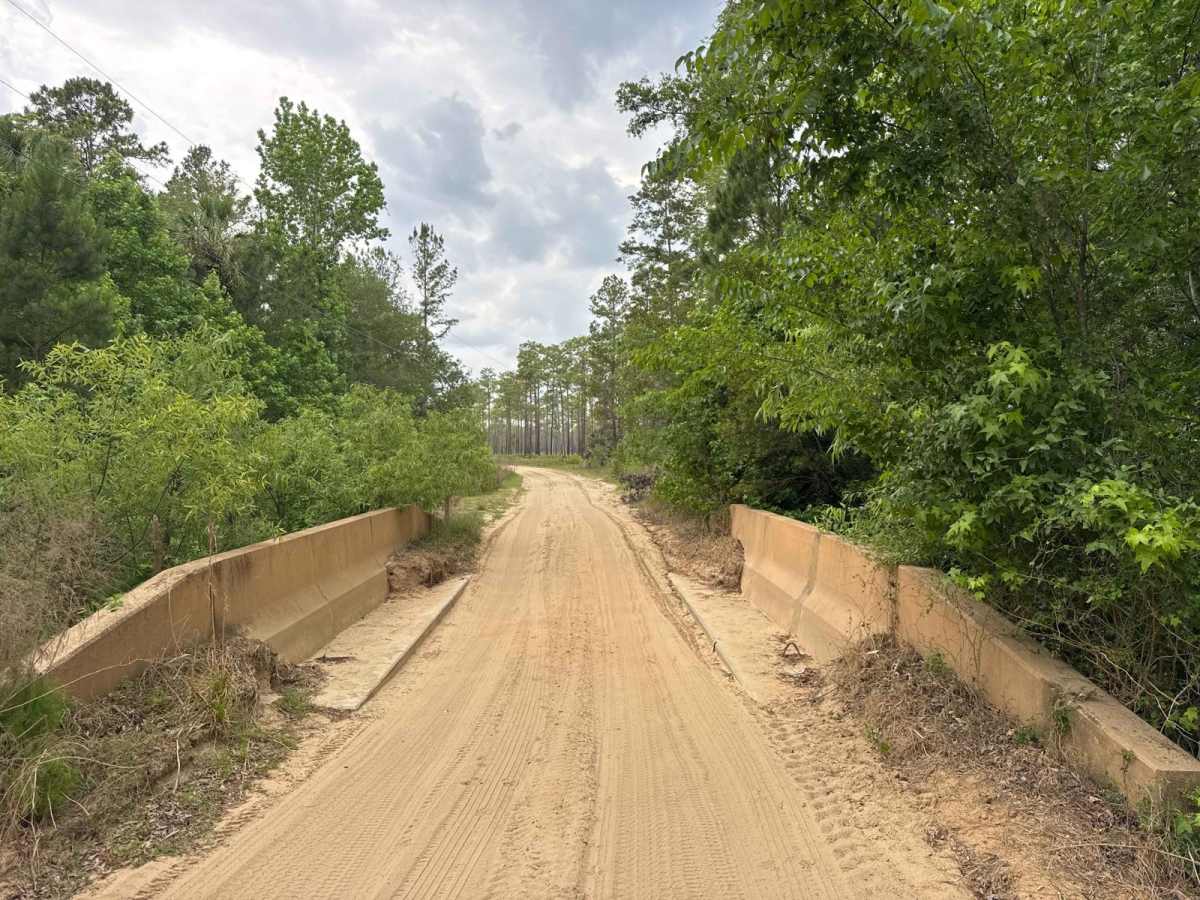 Spring Creek - ONF 6 trail photo
