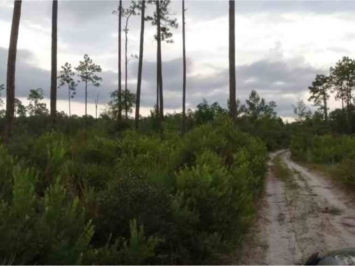 Tread Lightly! Four Wheel Drive Way photo 5