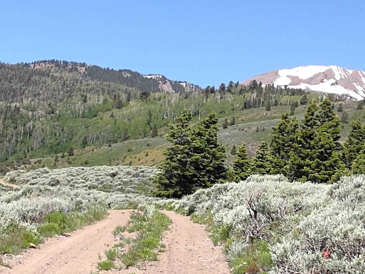 Gold Gulch Loop (FS# 41082) photo 4