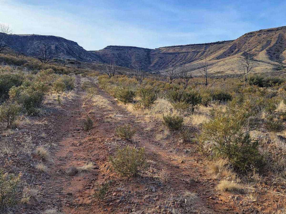 BLM 1606 photo 4