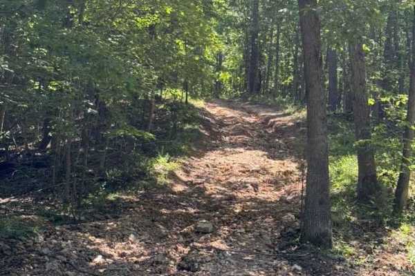Blake's Trail