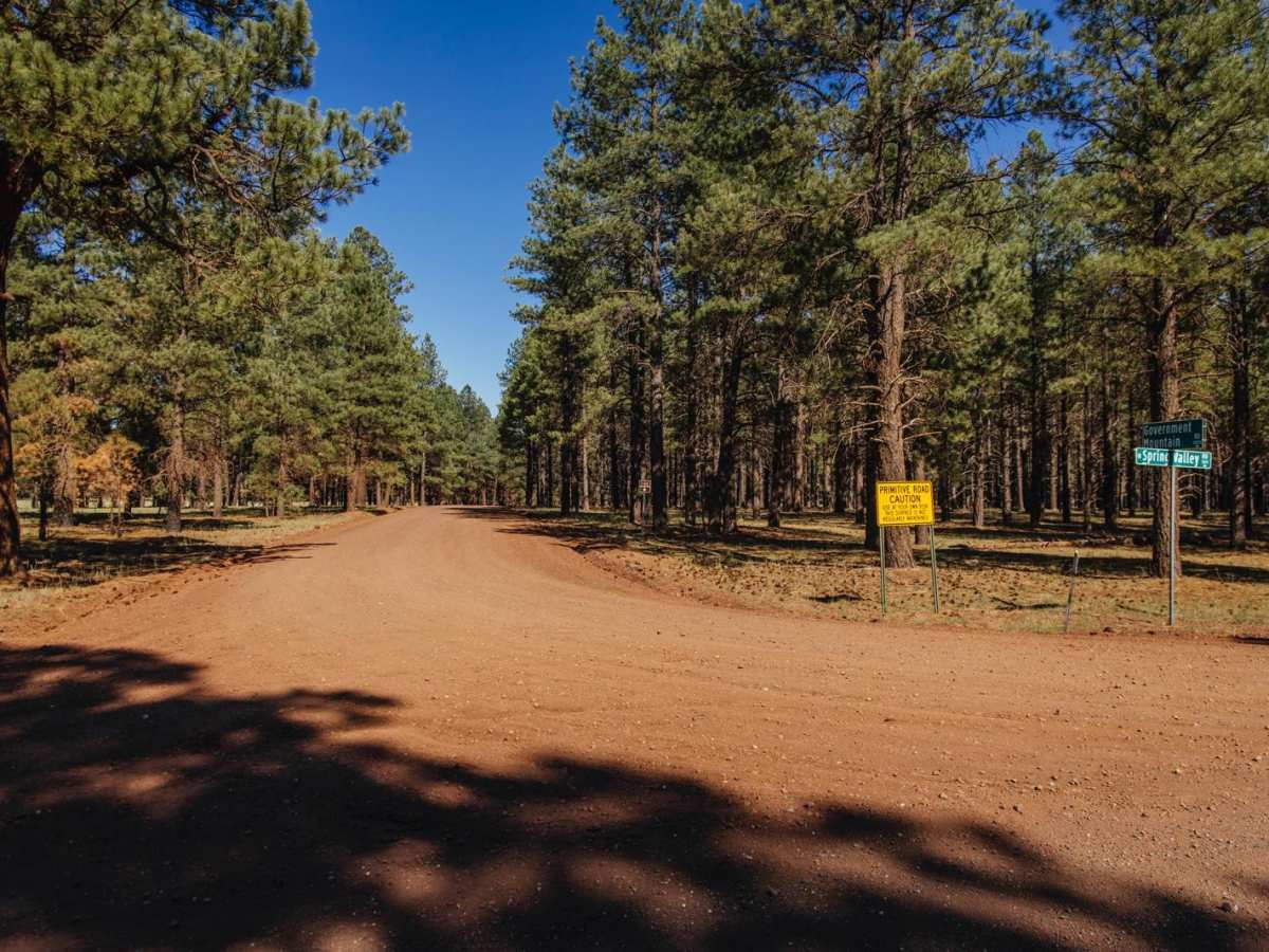 Beale Wagon Road Main trail photo