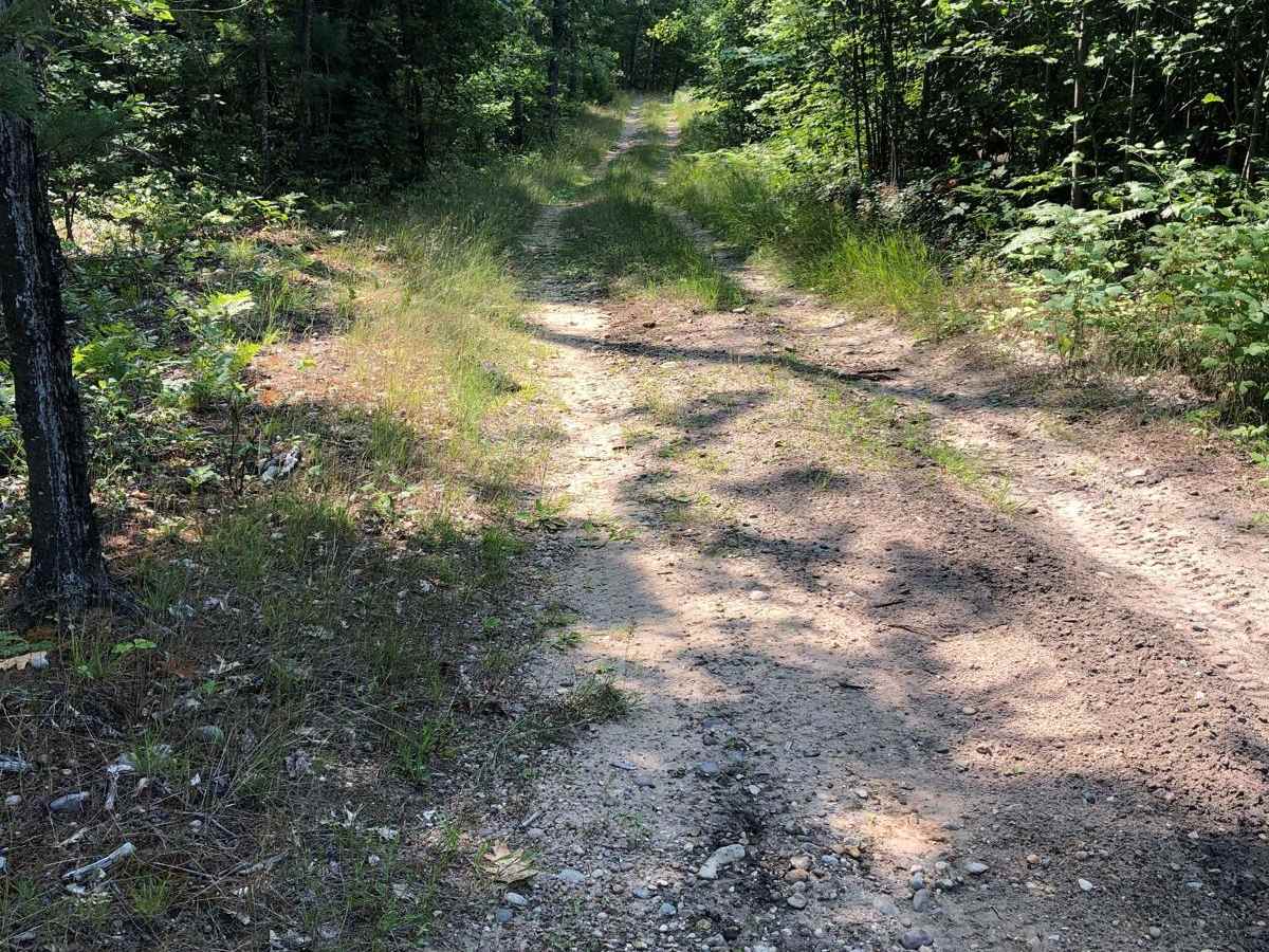 Cheboygan Plains Loop photo 5