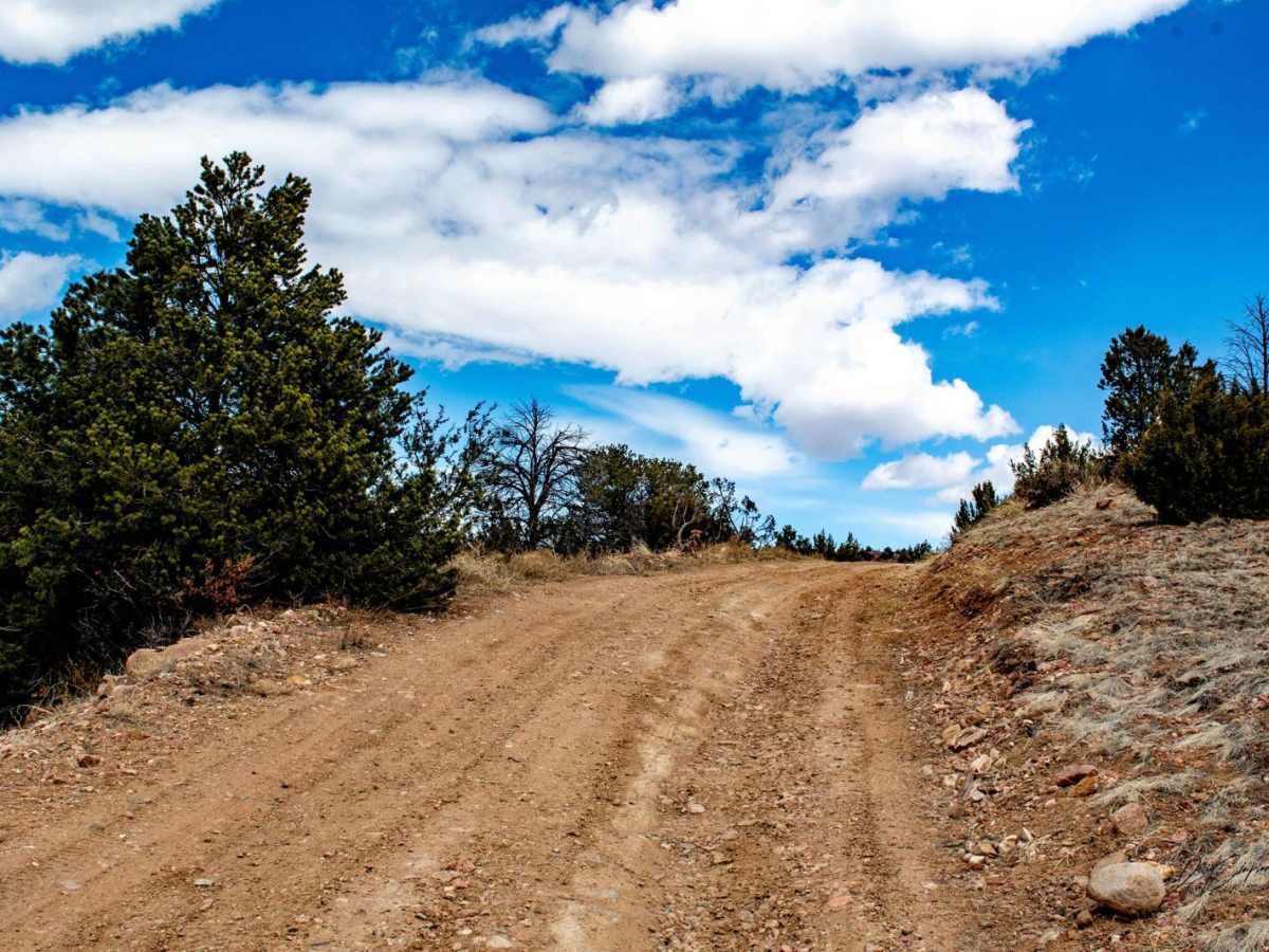 Grand Canyon Hills Road BLM 6100 photo 2