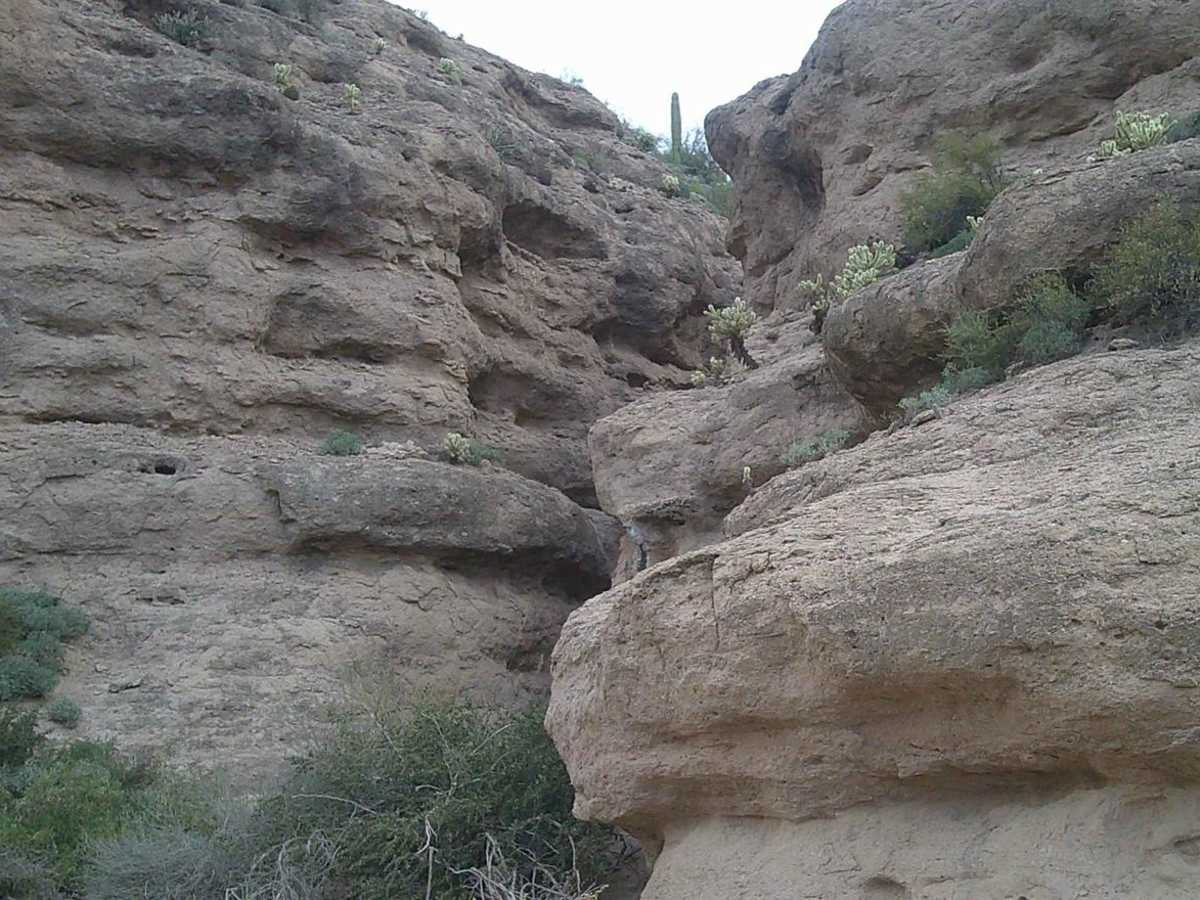 Camp Creek trail photo