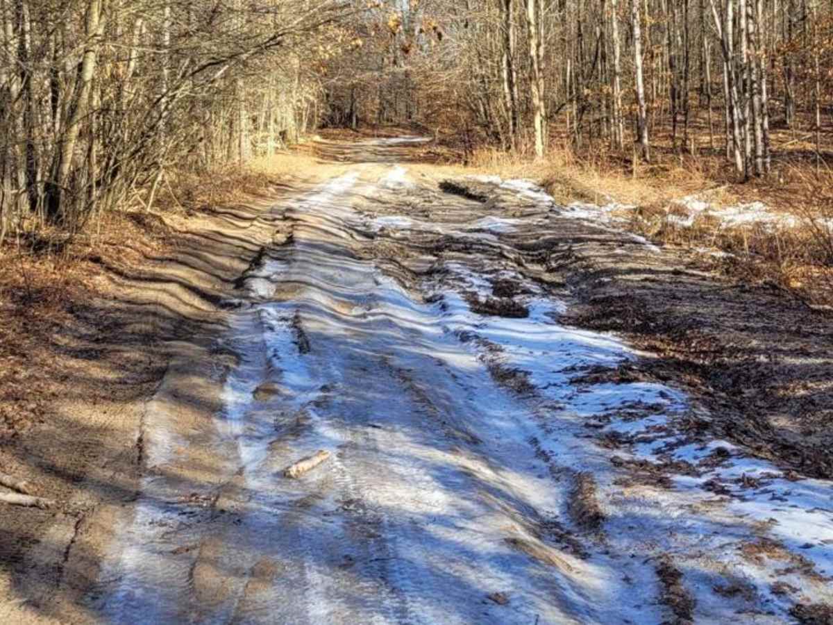 Evart to Sunrise Lake Trail photo 2