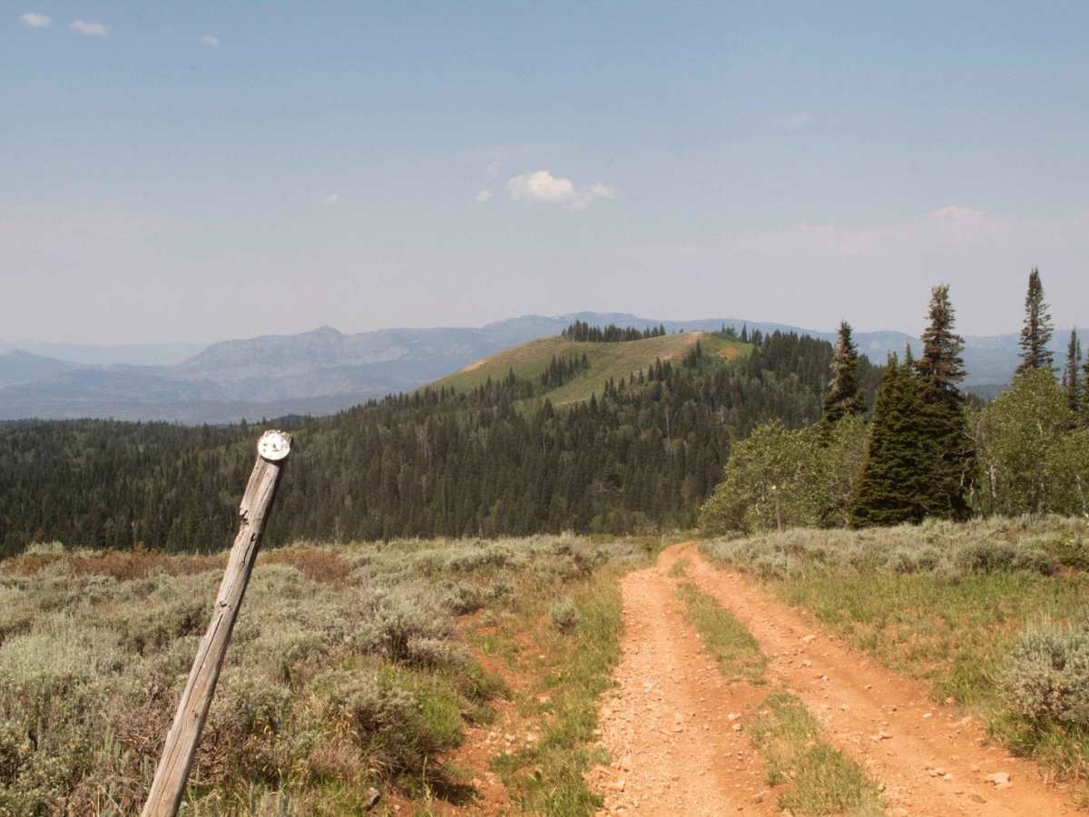 Red Spur photo 5
