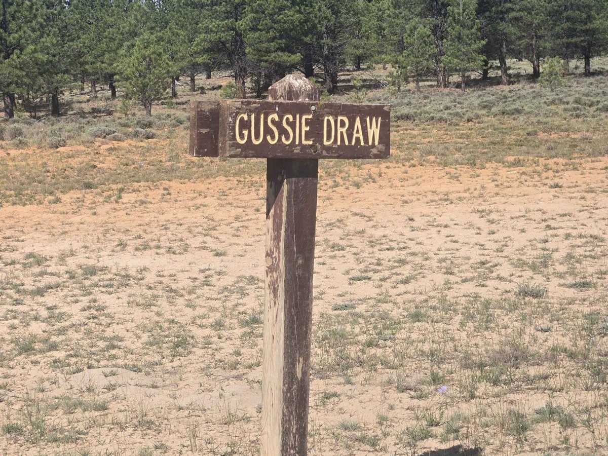 Gussie Draw Trail photo 5