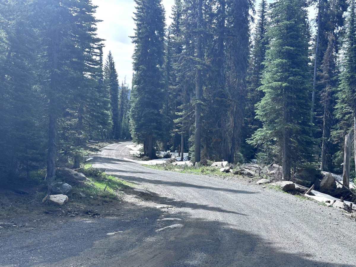 Meadows Goose Lake photo 2