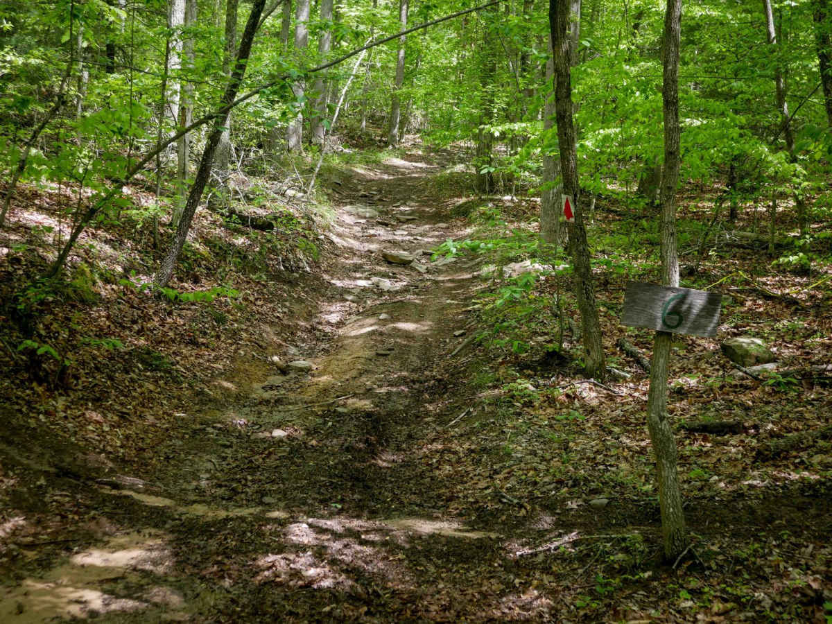 Trail 6 trail photo