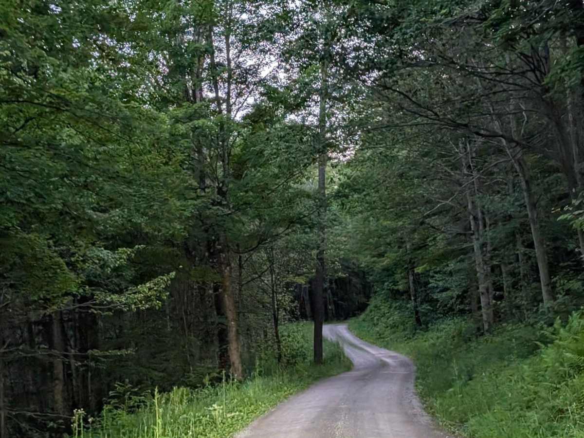 Bear Wallow Road photo 5