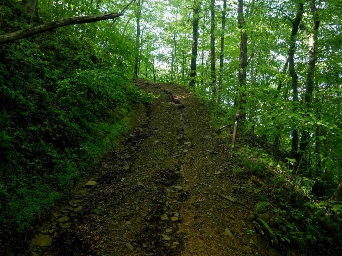 CC66 trail photo