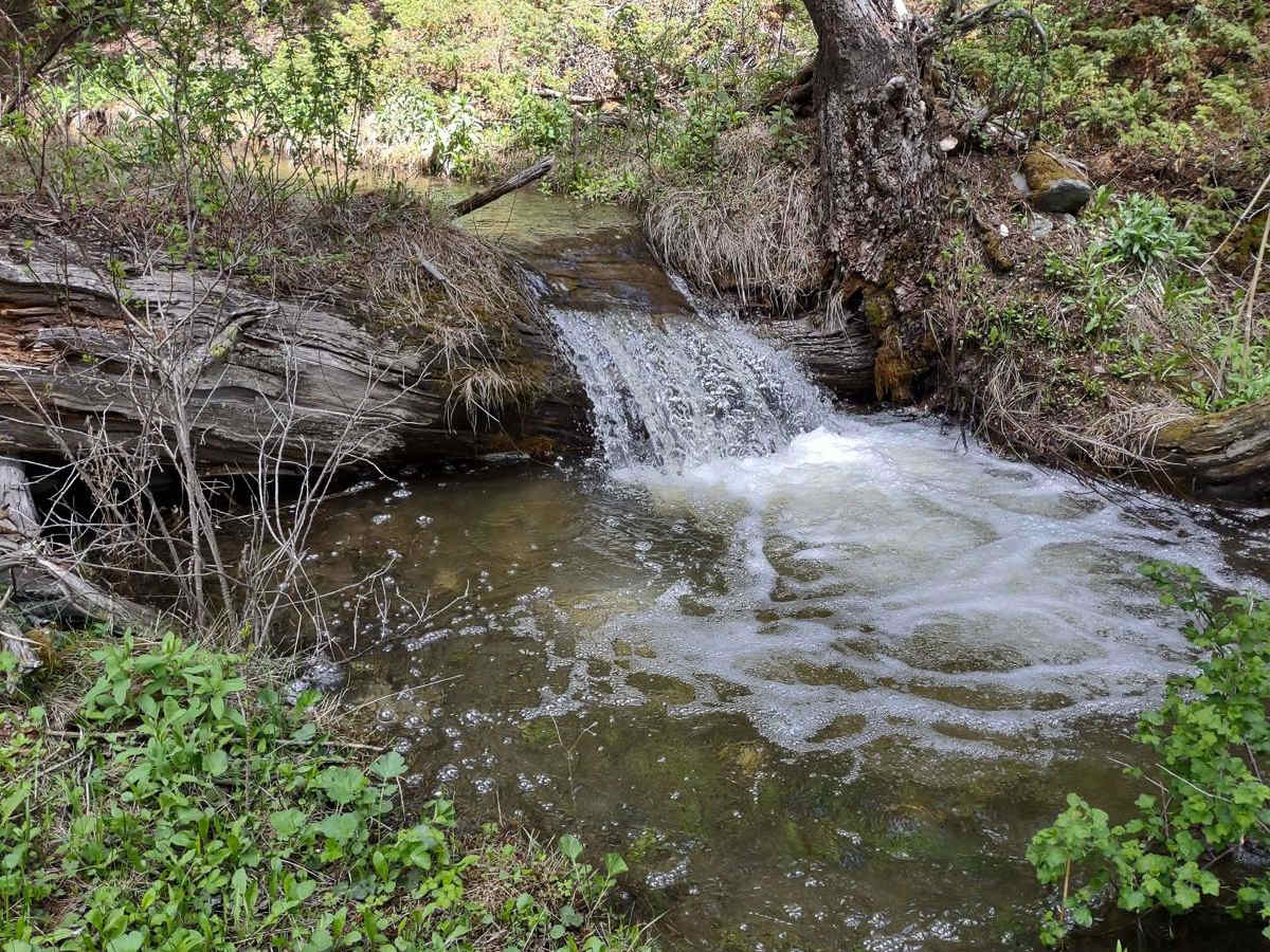 Crow Creek photo 4