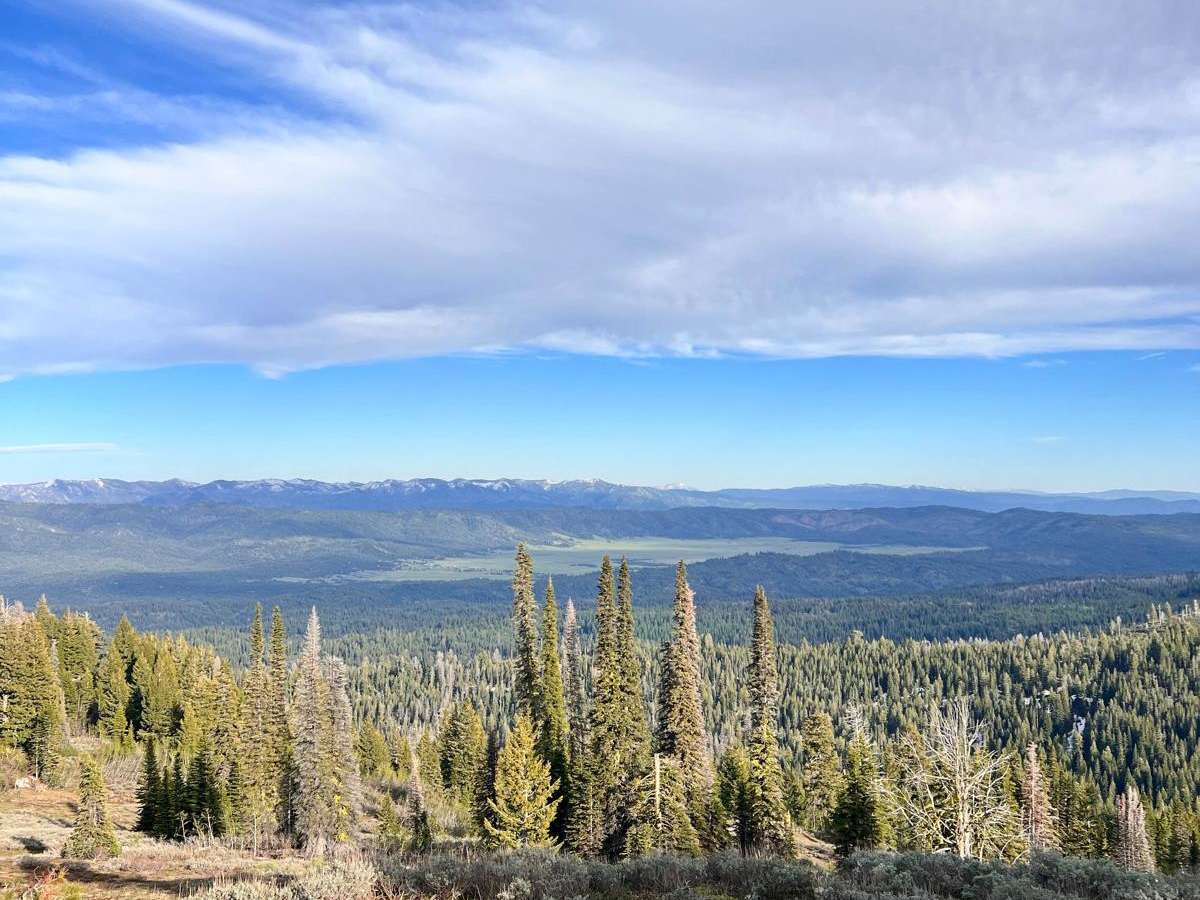 Forest Service Road 446 photo 2