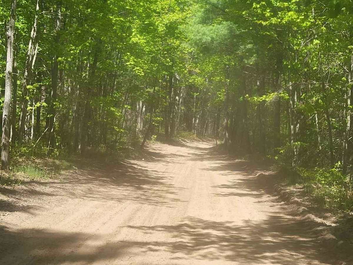 St. Helen ORV Route - North photo 4