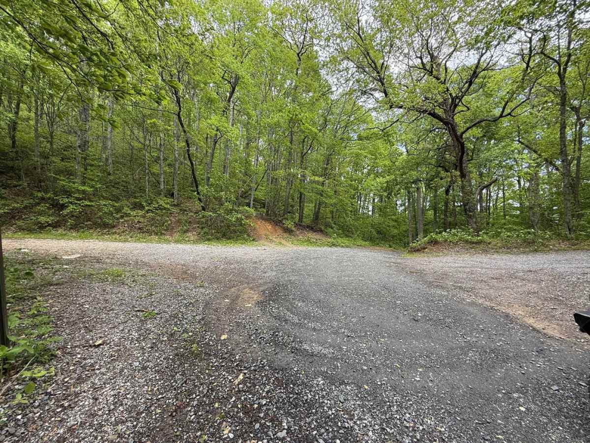 Wolf Creek Road photo 3