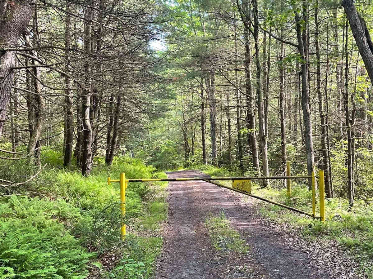 Mill Branch Road photo 4