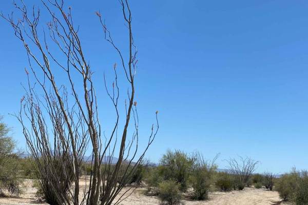 North of San Felipe