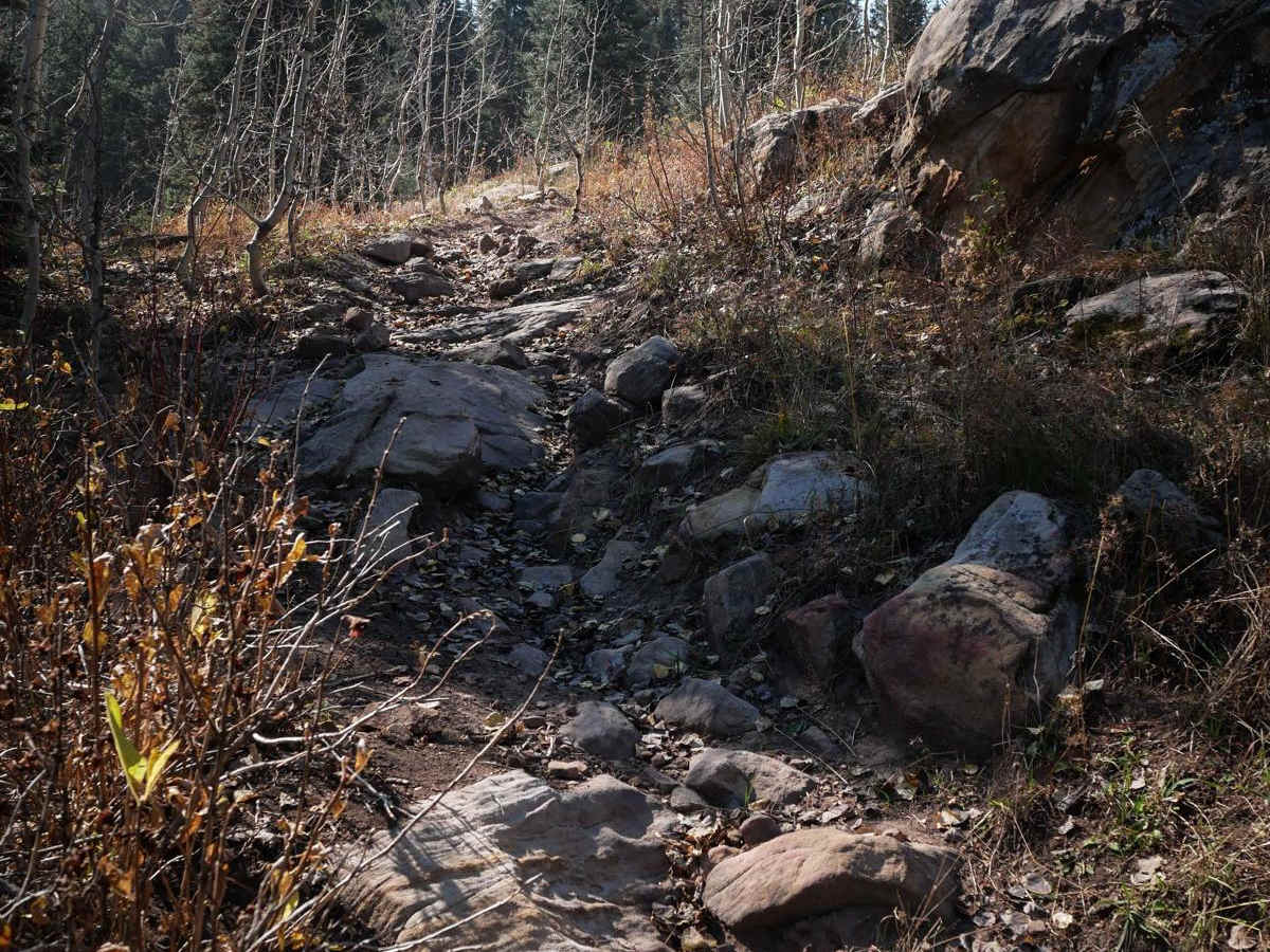 Buck Spur photo 2