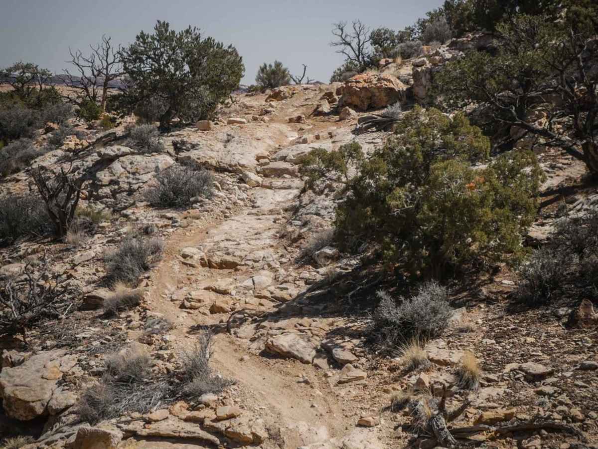 Orange Trail trail photo
