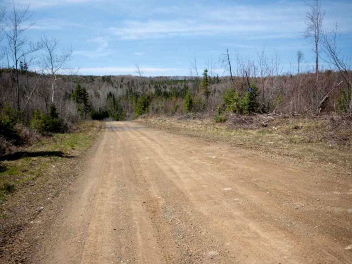Tetagouche Trail (Part 1) photo 5