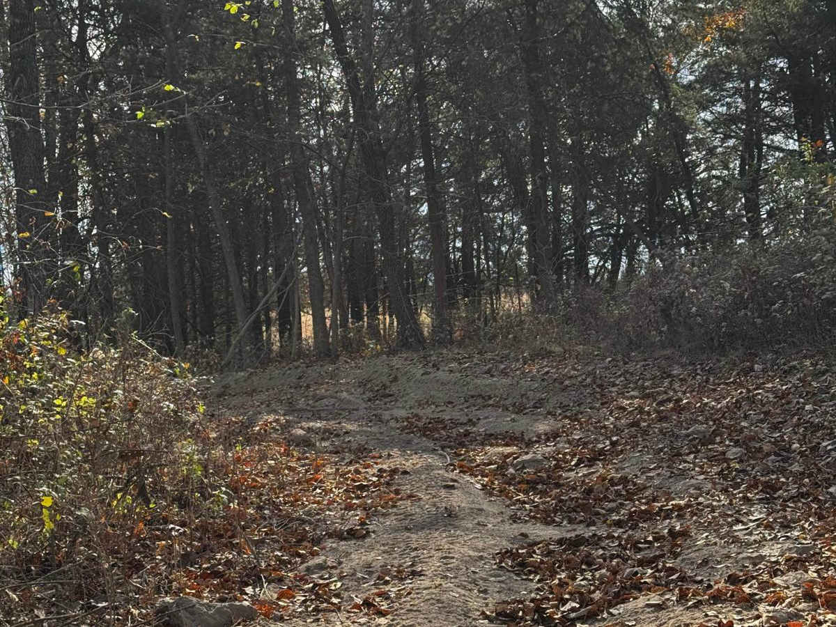 Maze Jaunt 2 photo 4