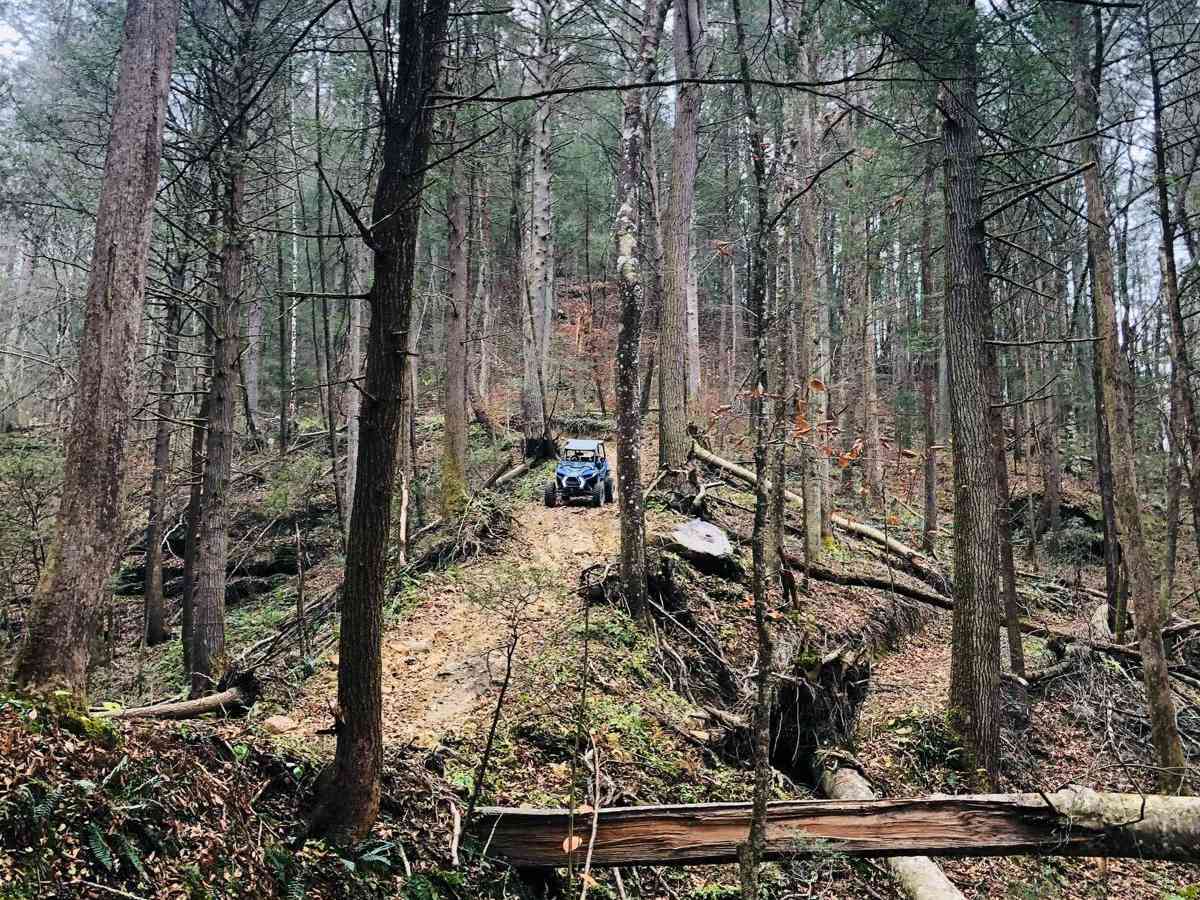 Lickfork Branch Hill photo 3