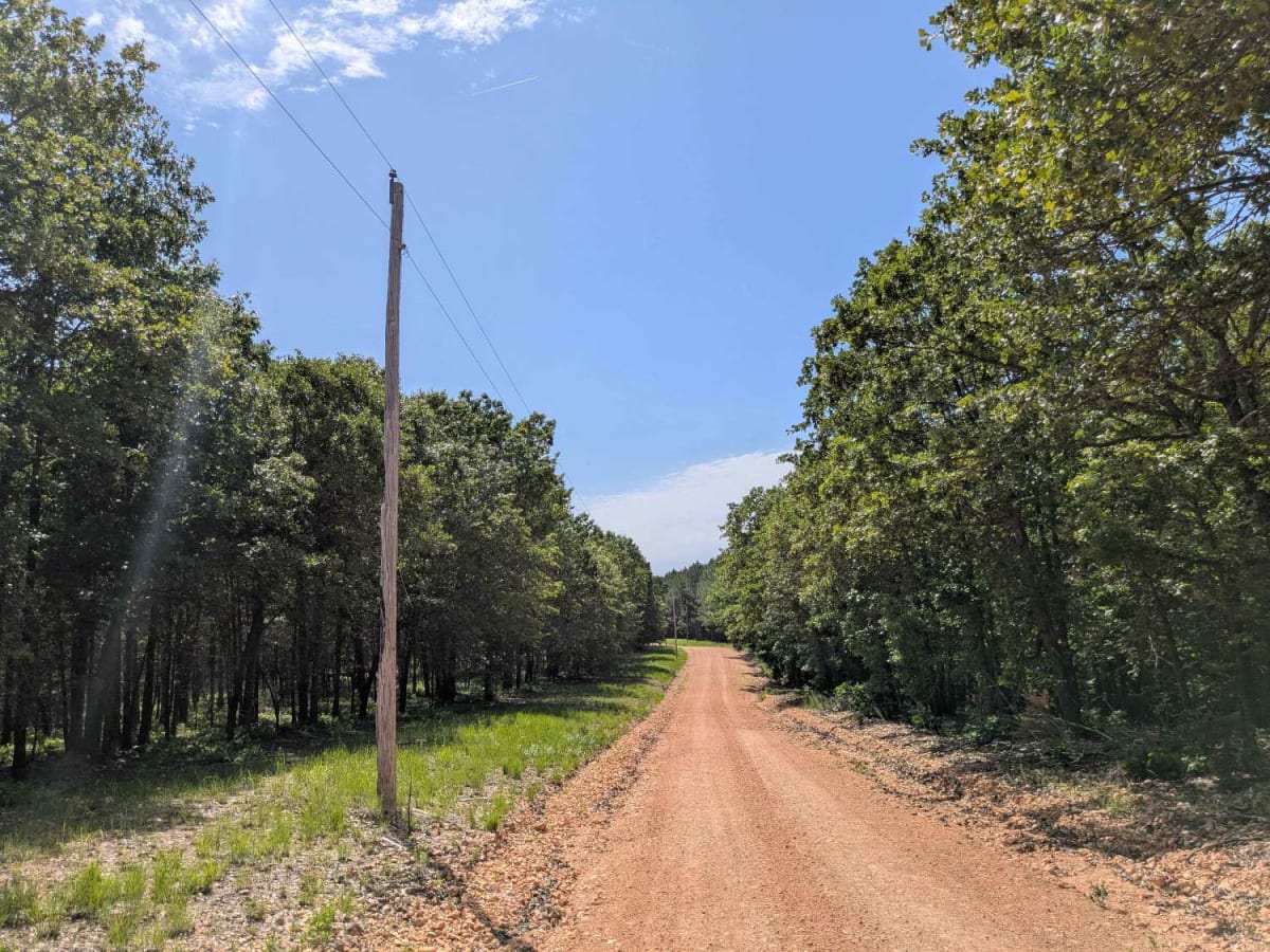 D0495 trail photo