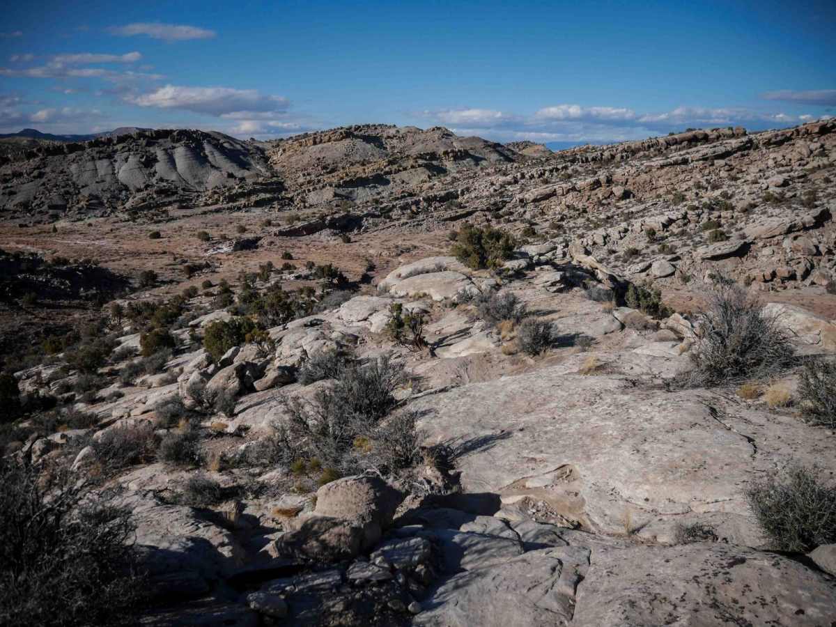 Slickrock trail photo