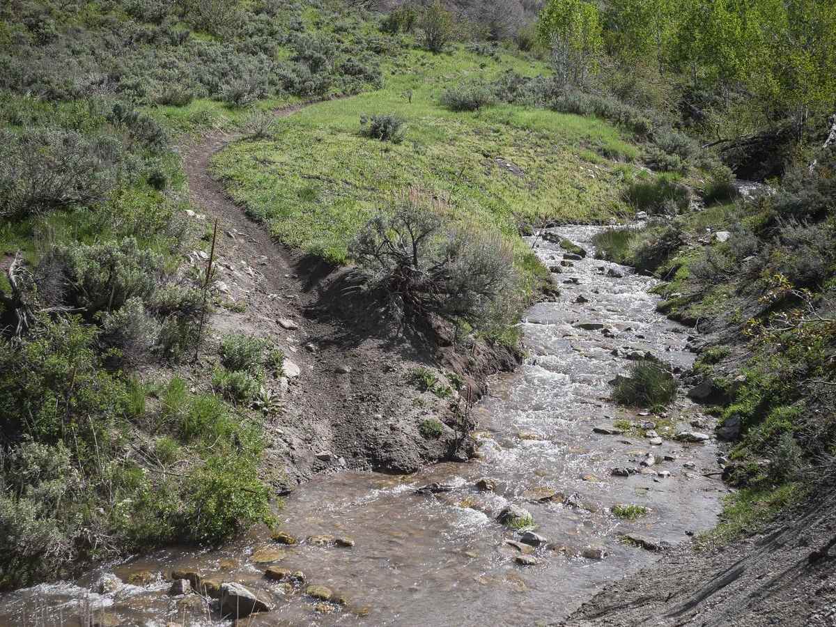 Cottonwood Second Water #018 photo 2
