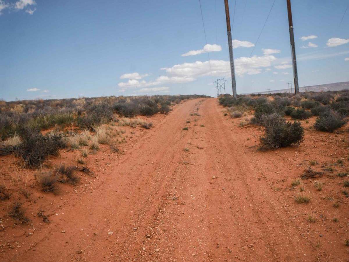 Powerline Road photo 4