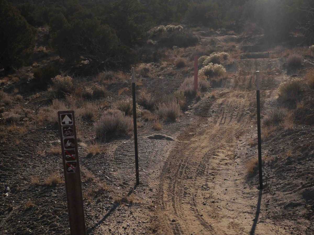 Apple West Singletrack photo 4