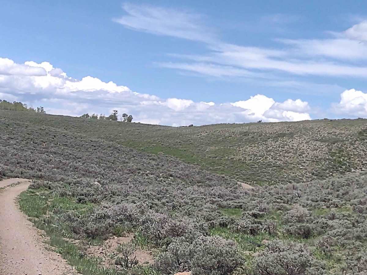 Forshea Troughs (Trail 40073) trail photo
