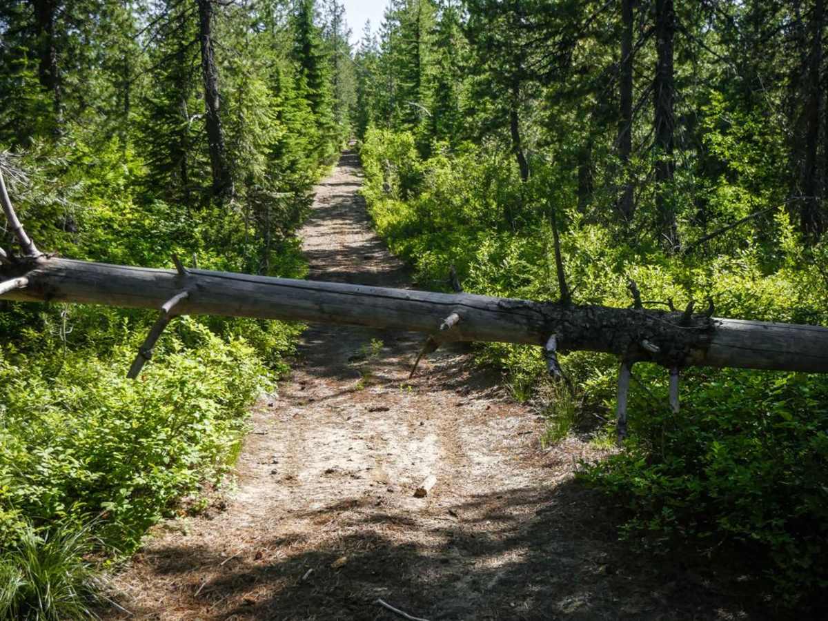 Dam Ridge ATV photo 5