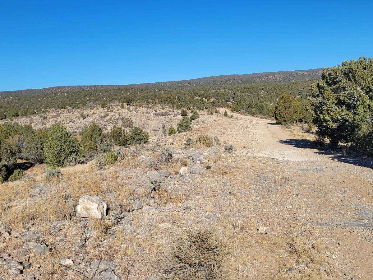 Grassy Point Road - BLM 1046 photo 5