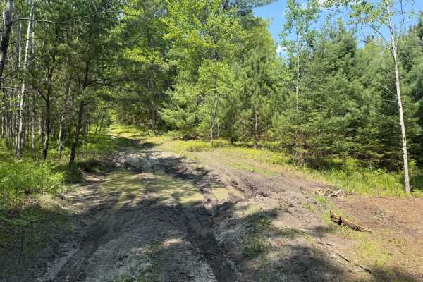 Fife Lake Trail