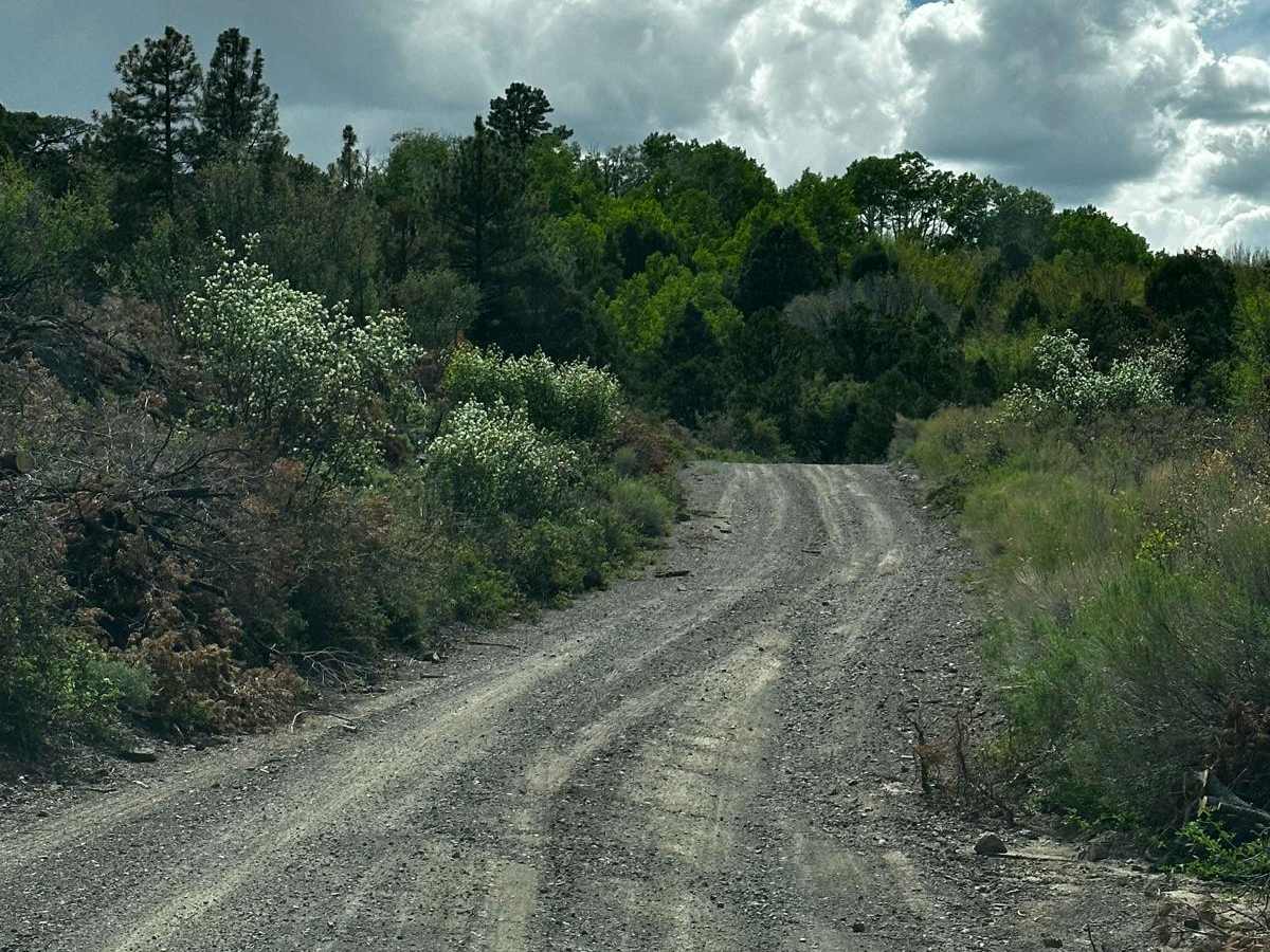 Thousand Lake Mountain Road photo 2