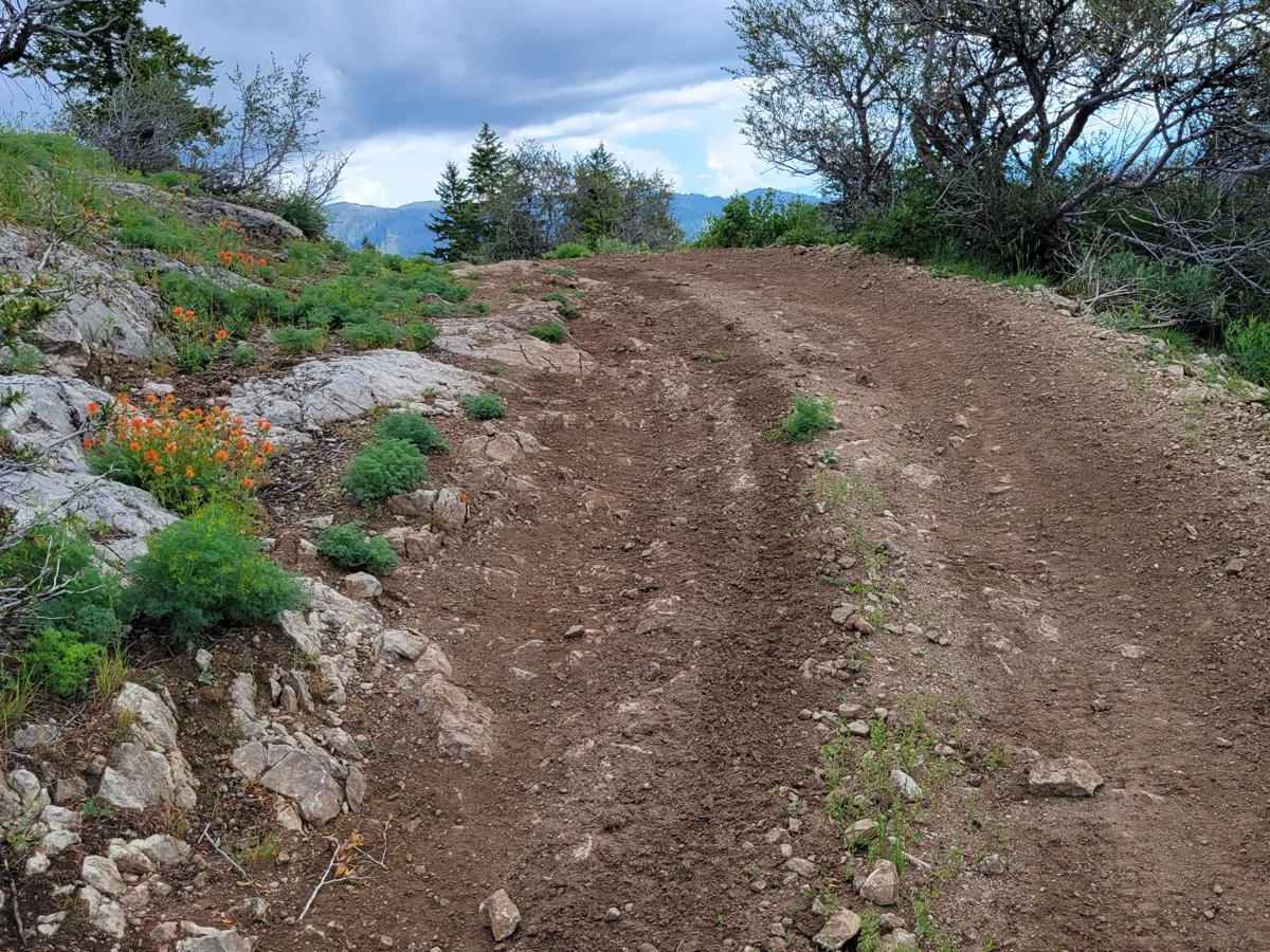 FR 306 - Iron Mountain Trail photo 6