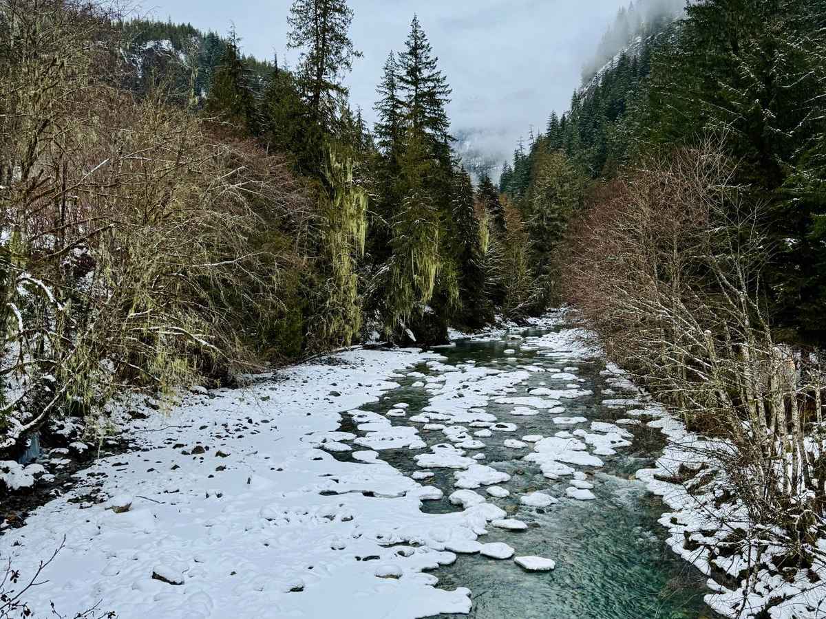 Ashlu River FSR photo 6
