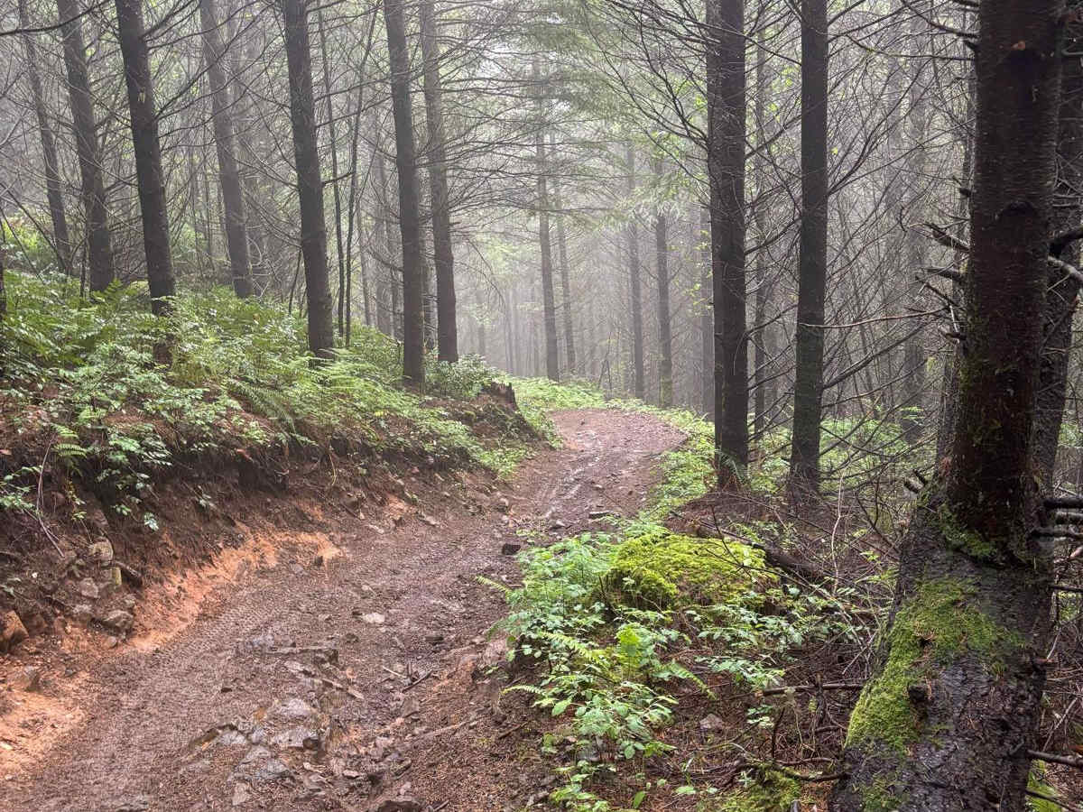 Jones Creek ORV photo 4