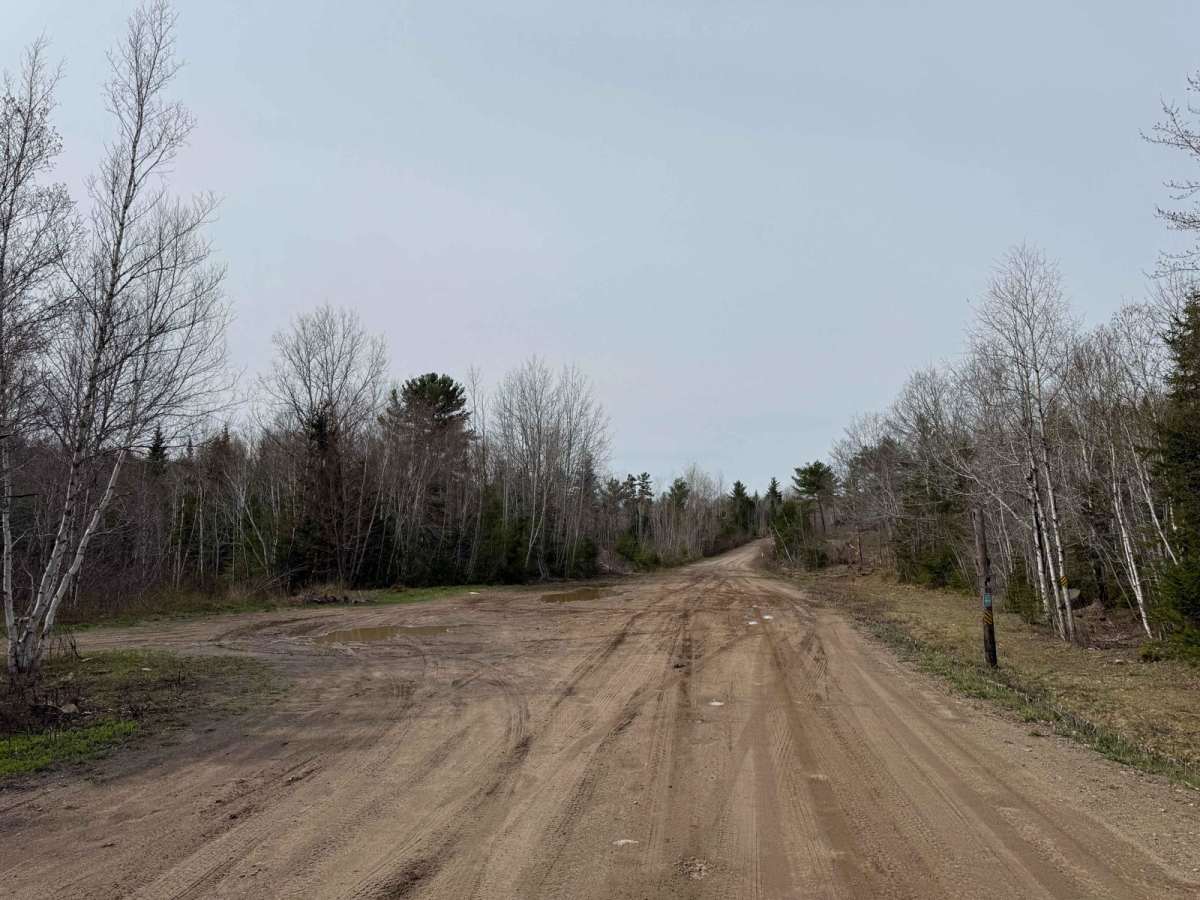 Mines Road photo 6