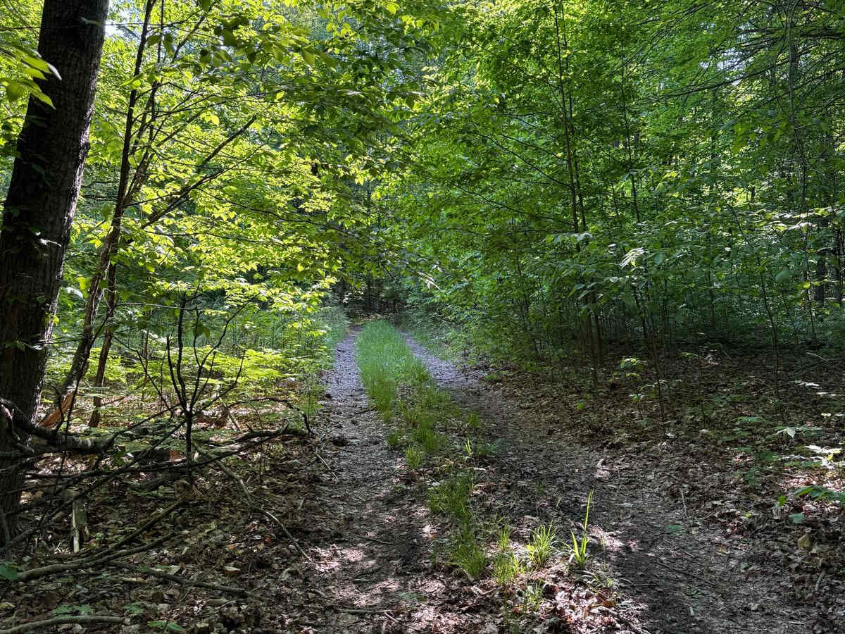Brush Field Trail photo 6