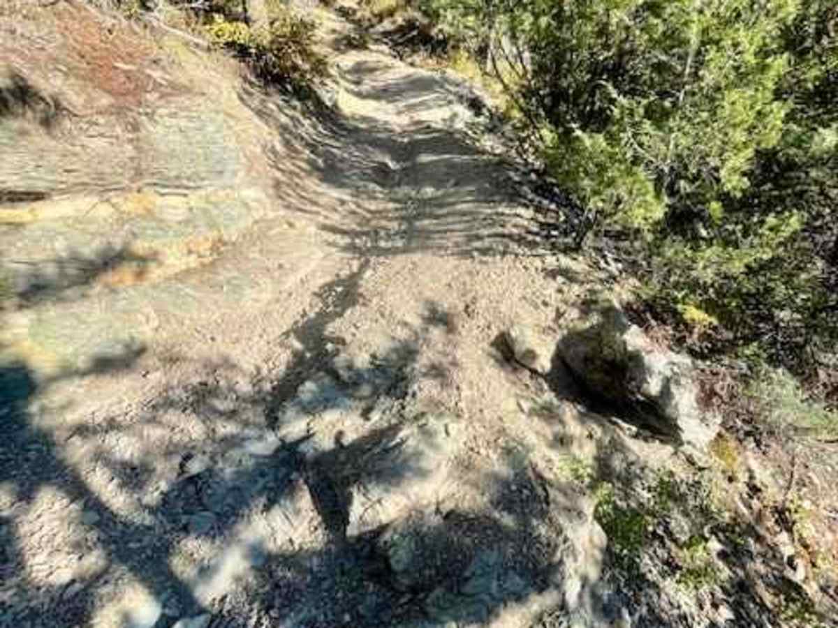 Columbia Mountain Loop photo 2