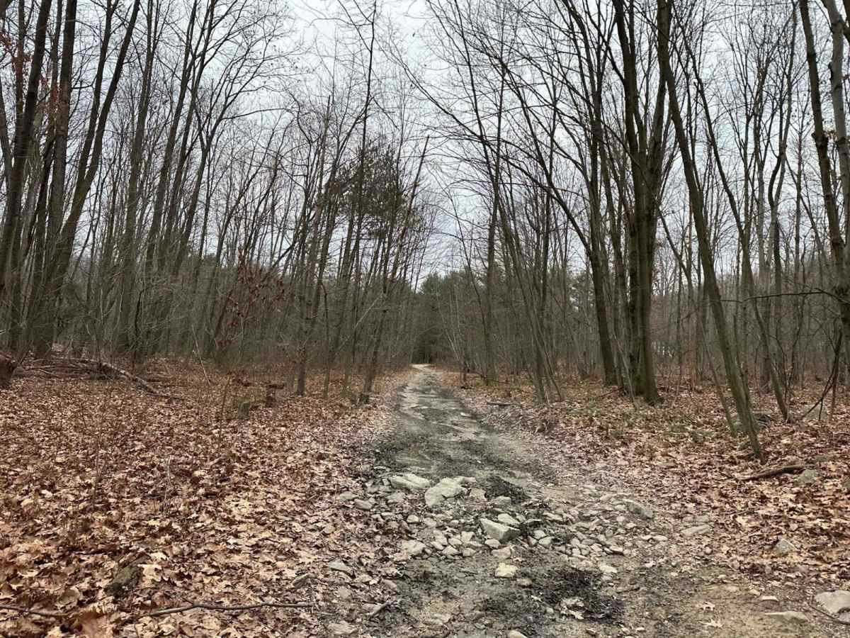 Locust Gap 22 trail photo